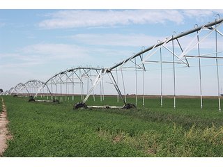 Property photo 117 - LAND AUCTION, 3255+/- Acres offered in 13 Tracts